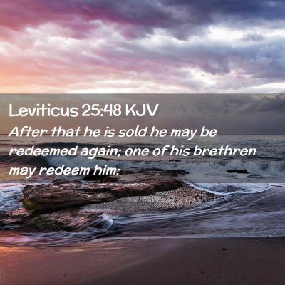 Picture 02 - Leviticus 25:48 KJV - After that he is sold he may be redeemed again; - Bible Verse Picture