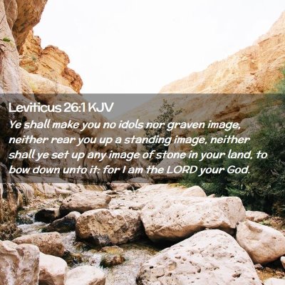 Picture 02 - Leviticus 26:1 KJV - Ye shall make you no idols nor graven image, - Bible Verse Picture