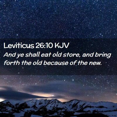 Picture 02 - Leviticus 26:10 KJV - And ye shall eat old store, and bring forth the - Bible Verse Picture