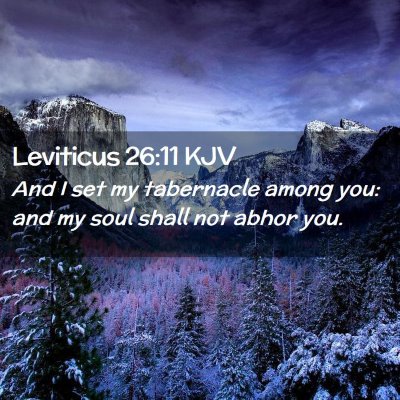 Picture 02 - Leviticus 26:11 KJV - And I set my tabernacle among you: and my soul - Bible Verse Picture