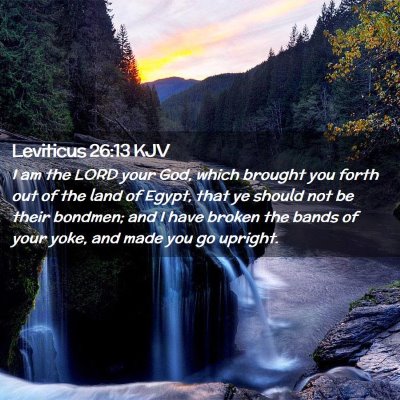 Picture 02 - Leviticus 26:13 KJV - I am the LORD your God, which brought you forth - Bible Verse Picture