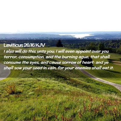 Picture 02 - Leviticus 26:16 KJV - I also will do this unto you; I will even appoint - Bible Verse Picture