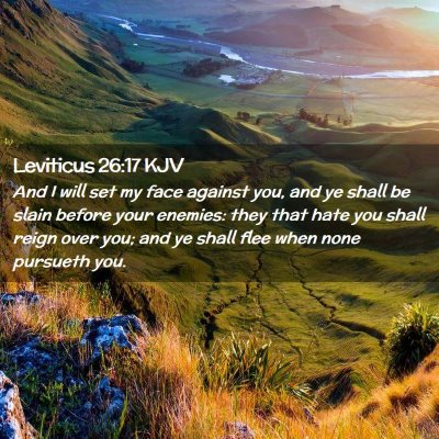 Picture 02 - Leviticus 26:17 KJV - And I will set my face against you, and ye shall - Bible Verse Picture