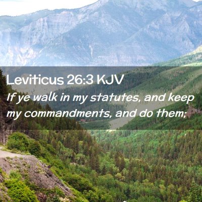 Picture 02 - Leviticus 26:3 KJV - If ye walk in my statutes, and keep my - Bible Verse Picture