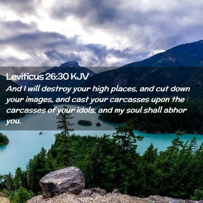 Picture 02 - Leviticus 26:30 KJV - And I will destroy your high places, and cut down - Bible Verse Picture