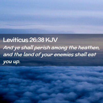 Picture 02 - Leviticus 26:38 KJV - And ye shall perish among the heathen, and the - Bible Verse Picture