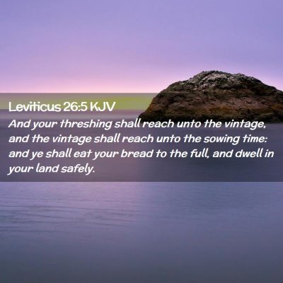 Picture 02 - Leviticus 26:5 KJV - And your threshing shall reach unto the vintage, - Bible Verse Picture