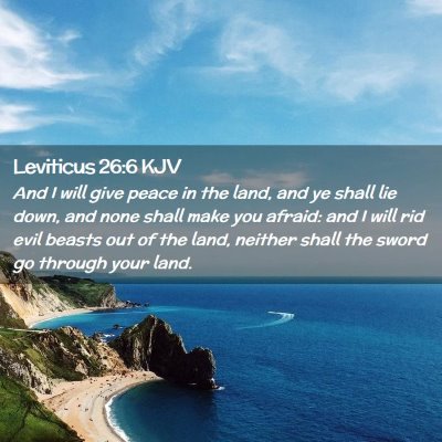 Picture 02 - Leviticus 26:6 KJV - And I will give peace in the land, and ye shall - Bible Verse Picture