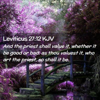 Picture 02 - Leviticus 27:12 KJV - And the priest shall value it, whether it be good - Bible Verse Picture