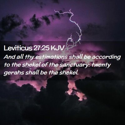 Picture 02 - Leviticus 27:25 KJV - And all thy estimations shall be according to the - Bible Verse Picture