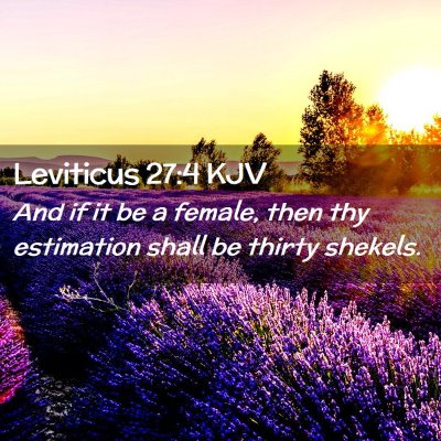 Picture 02 - Leviticus 27:4 KJV - And if it be a female, then thy estimation shall - Bible Verse Picture
