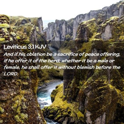 Picture 02 - Leviticus 3:1 KJV - And if his oblation be a sacrifice of peace - Bible Verse Picture
