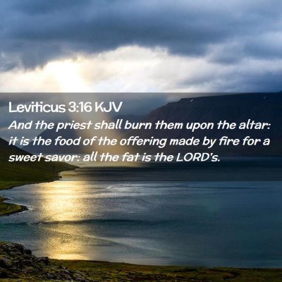 Picture 02 - Leviticus 3:16 KJV - And the priest shall burn them upon the altar: it - Bible Verse Picture