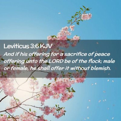 Picture 02 - Leviticus 3:6 KJV - And if his offering for a sacrifice of peace - Bible Verse Picture