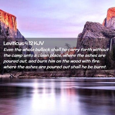Picture 02 - Leviticus 4:12 KJV - Even the whole bullock shall he carry forth - Bible Verse Picture