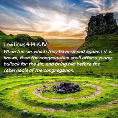 Picture 02 - Leviticus 4:14 KJV - When the sin, which they have sinned against it, - Bible Verse Picture