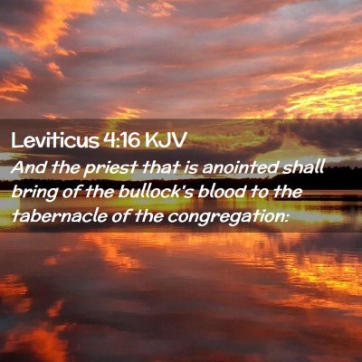 Picture 02 - Leviticus 4:16 KJV - And the priest that is anointed shall bring of - Bible Verse Picture