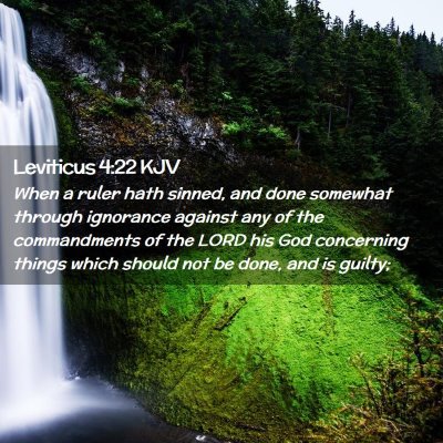 Picture 02 - Leviticus 4:22 KJV - When a ruler hath sinned, and done somewhat - Bible Verse Picture