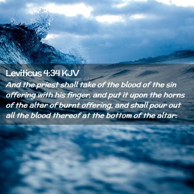 Picture 02 - Leviticus 4:34 KJV - And the priest shall take of the blood of the sin - Bible Verse Picture