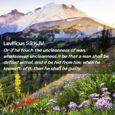 Picture 02 - Leviticus 5:3 KJV - Or if he touch the uncleanness of man, whatsoever - Bible Verse Picture