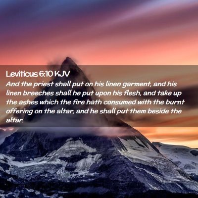 Picture 02 - Leviticus 6:10 KJV - And the priest shall put on his linen garment, - Bible Verse Picture
