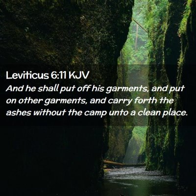 Picture 02 - Leviticus 6:11 KJV - And he shall put off his garments, and put on - Bible Verse Picture