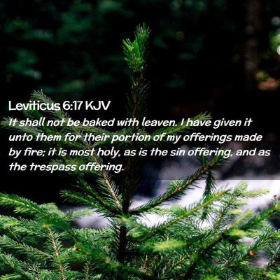 Picture 02 - Leviticus 6:17 KJV - It shall not be baked with leaven. I have given - Bible Verse Picture