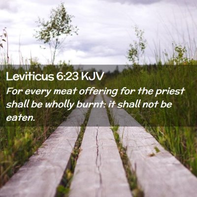 Picture 02 - Leviticus 6:23 KJV - For every meat offering for the priest shall be - Bible Verse Picture