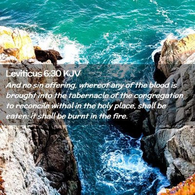 Picture 02 - Leviticus 6:30 KJV - And no sin offering, whereof any of the blood is - Bible Verse Picture