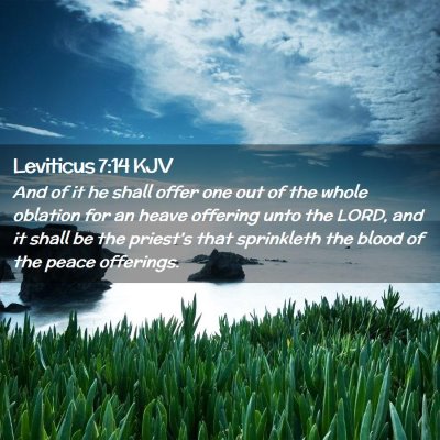 Picture 02 - Leviticus 7:14 KJV - And of it he shall offer one out of the whole - Bible Verse Picture