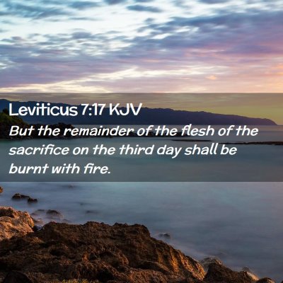 Picture 02 - Leviticus 7:17 KJV - But the remainder of the flesh of the sacrifice - Bible Verse Picture