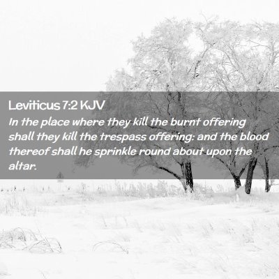 Picture 02 - Leviticus 7:2 KJV - In the place where they kill the burnt offering - Bible Verse Picture