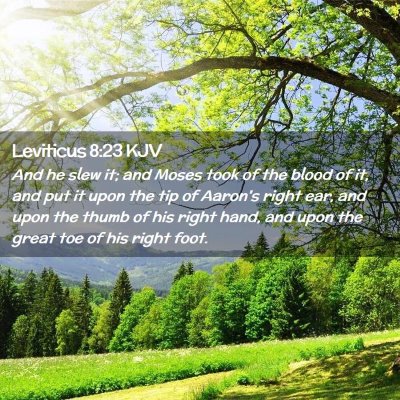 Picture 02 - Leviticus 8:23 KJV - And he slew it; and Moses took of the blood of - Bible Verse Picture