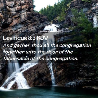 Picture 02 - Leviticus 8:3 KJV - And gather thou all the congregation together - Bible Verse Picture