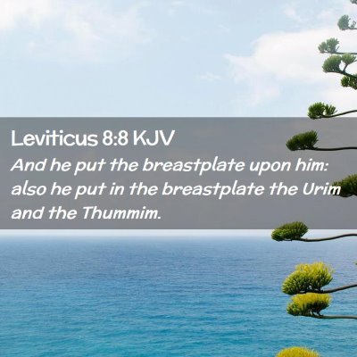 Picture 02 - Leviticus 8:8 KJV - And he put the breastplate upon him: also he put - Bible Verse Picture