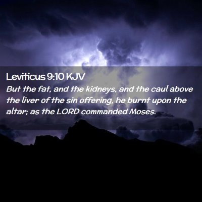 Picture 02 - Leviticus 9:10 KJV - But the fat, and the kidneys, and the caul above - Bible Verse Picture