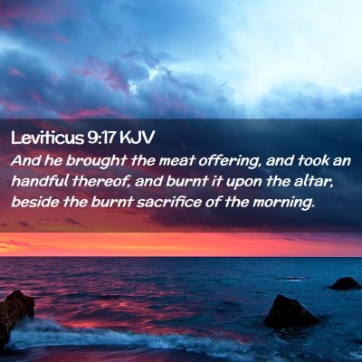 Picture 02 - Leviticus 9:17 KJV - And he brought the meat offering, and took an - Bible Verse Picture