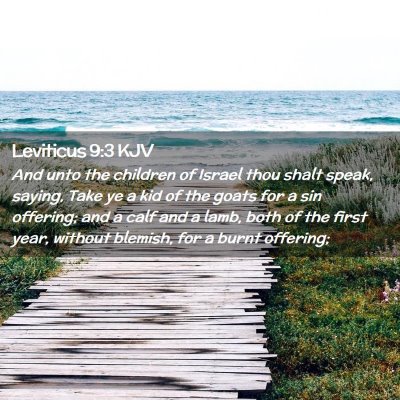 Picture 02 - Leviticus 9:3 KJV - And unto the children of Israel thou shalt speak, - Bible Verse Picture