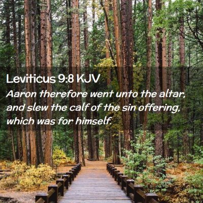 Picture 02 - Leviticus 9:8 KJV - Aaron therefore went unto the altar, and slew the - Bible Verse Picture