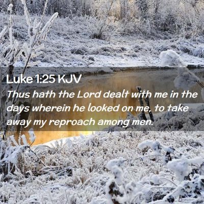 Picture 02 - Luke 1:25 KJV - Thus hath the Lord dealt with me in the days - Bible Verse Picture