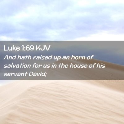 Picture 02 - Luke 1:69 KJV - And hath raised up an horn of salvation for us in - Bible Verse Picture