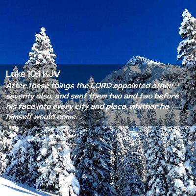 Picture 02 - Luke 10:1 KJV - After these things the LORD appointed other - Bible Verse Picture