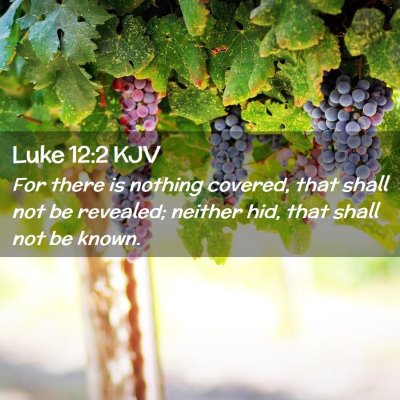 Picture 02 - Luke 12:2 KJV - For there is nothing covered, that shall not be - Bible Verse Picture