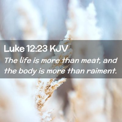 Picture 02 - Luke 12:23 KJV - The life is more than meat, and the body is more - Bible Verse Picture