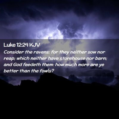 Picture 02 - Luke 12:24 KJV - Consider the ravens: for they neither sow nor - Bible Verse Picture