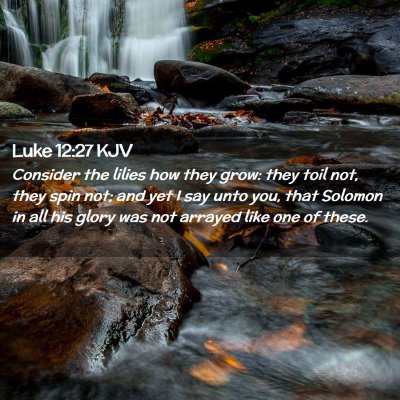 Picture 02 - Luke 12:27 KJV - Consider the lilies how they grow: they toil not, - Bible Verse Picture