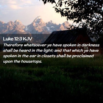 Picture 02 - Luke 12:3 KJV - Therefore whatsoever ye have spoken in darkness - Bible Verse Picture