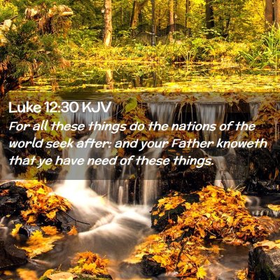 Picture 02 - Luke 12:30 KJV - For all these things do the nations of the world - Bible Verse Picture