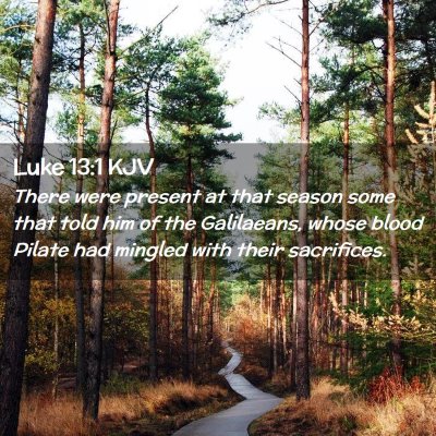 Picture 02 - Luke 13:1 KJV - There were present at that season some that told - Bible Verse Picture