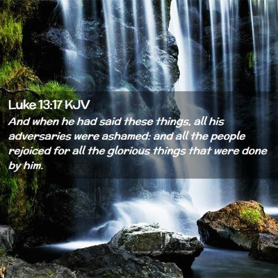 Picture 02 - Luke 13:17 KJV - And when he had said these things, all his - Bible Verse Picture